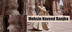 Mohsin Naveed Ranjha