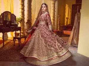 Red and Gold Pakistani Dresses