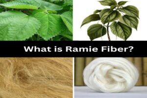 ramie fibre
