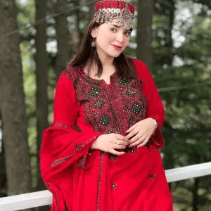 kashmiri Embroidery Dress Designs in Pakistan